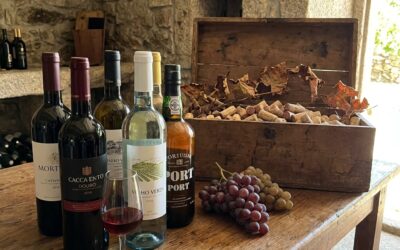 Portugisisk vin: En skatkiste af smagsoplevelser